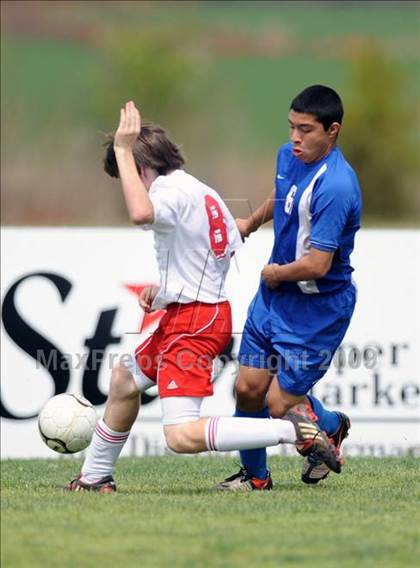 Thumbnail 2 in Florence @ Hazel Green photogallery.