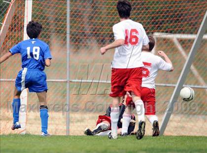 Thumbnail 1 in Florence @ Hazel Green photogallery.