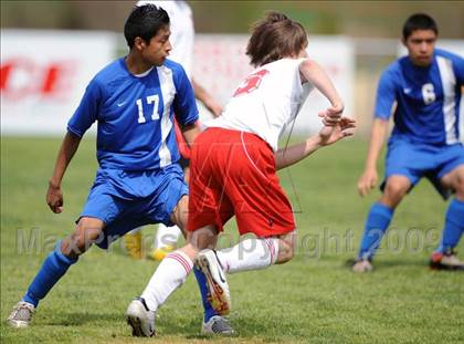 Thumbnail 1 in Florence @ Hazel Green photogallery.