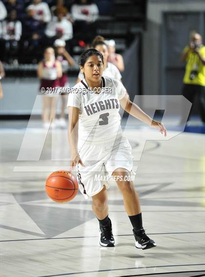 Thumbnail 1 in Cypress Ranch vs. Houston Heights (UIL 6A Bi-District Playoff) photogallery.