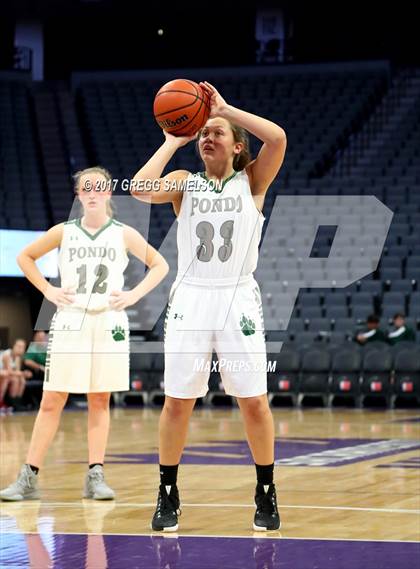 Thumbnail 1 in Mesa Verde vs. Ponderosa photogallery.