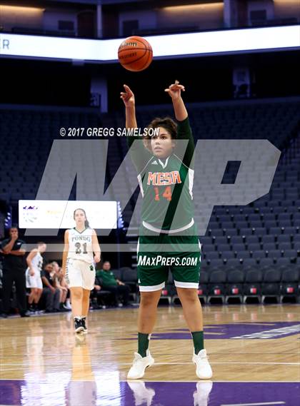 Thumbnail 3 in Mesa Verde vs. Ponderosa photogallery.