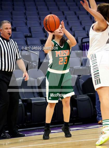 Thumbnail 3 in Mesa Verde vs. Ponderosa photogallery.