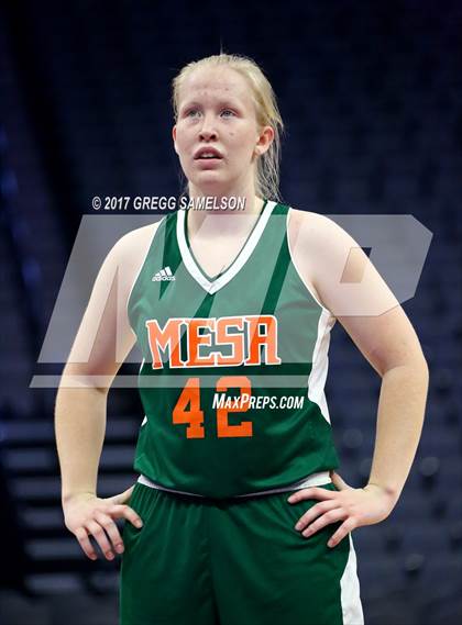 Thumbnail 2 in Mesa Verde vs. Ponderosa photogallery.