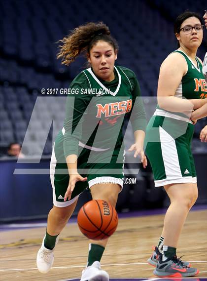 Thumbnail 3 in Mesa Verde vs. Ponderosa photogallery.