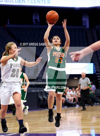 Thumbnail 3 in Mesa Verde vs. Ponderosa photogallery.