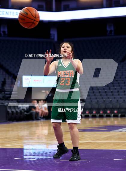 Thumbnail 1 in Mesa Verde vs. Ponderosa photogallery.