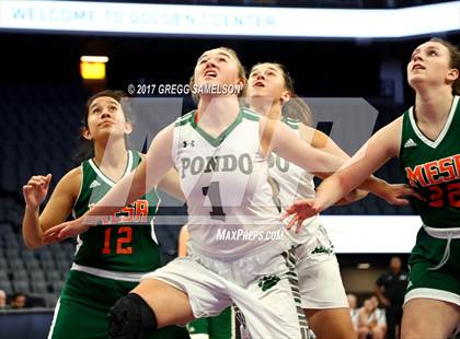 Thumbnail 1 in Mesa Verde vs. Ponderosa photogallery.
