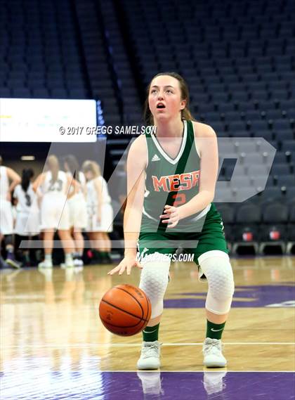 Thumbnail 3 in Mesa Verde vs. Ponderosa photogallery.