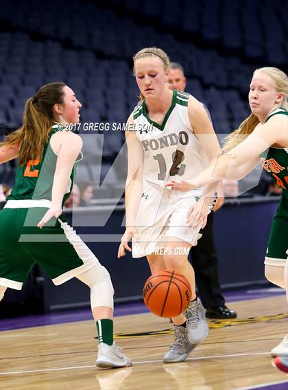 Thumbnail 3 in Mesa Verde vs. Ponderosa photogallery.
