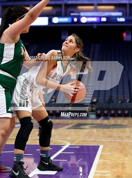 Thumbnail 3 in Mesa Verde vs. Ponderosa photogallery.