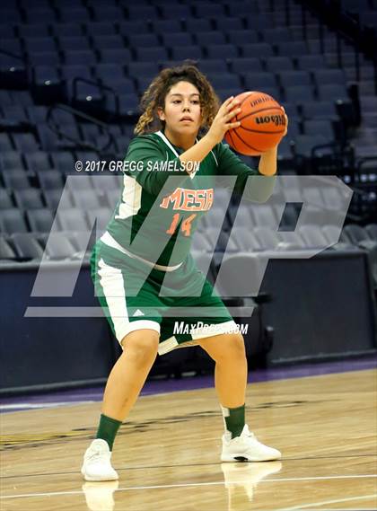 Thumbnail 3 in Mesa Verde vs. Ponderosa photogallery.