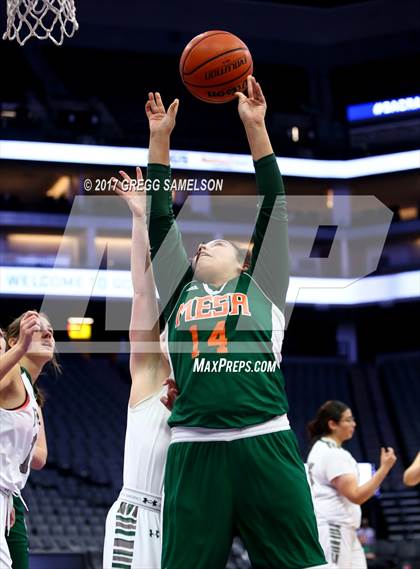 Thumbnail 1 in Mesa Verde vs. Ponderosa photogallery.