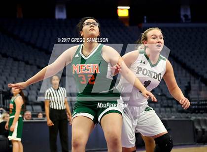 Thumbnail 3 in Mesa Verde vs. Ponderosa photogallery.