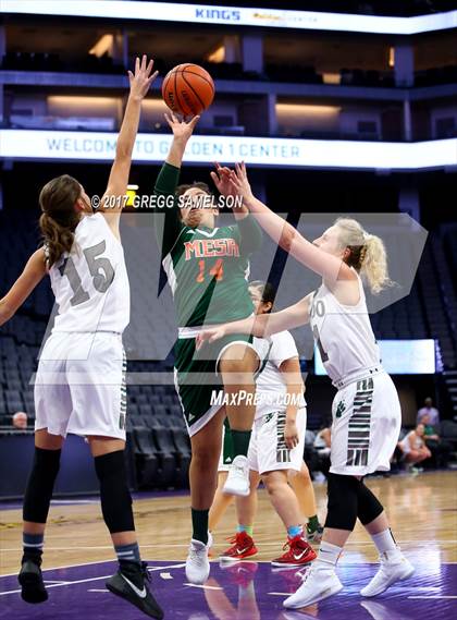Thumbnail 1 in Mesa Verde vs. Ponderosa photogallery.