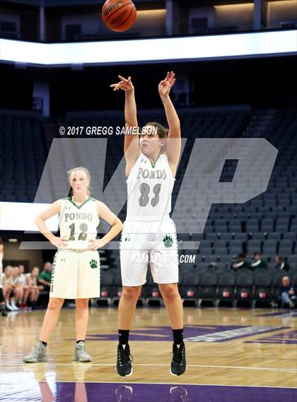 Thumbnail 2 in Mesa Verde vs. Ponderosa photogallery.