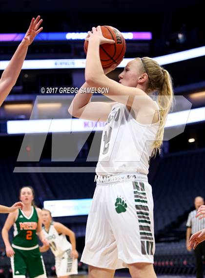 Thumbnail 1 in Mesa Verde vs. Ponderosa photogallery.