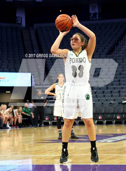 Thumbnail 3 in Mesa Verde vs. Ponderosa photogallery.