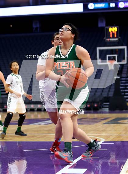 Thumbnail 3 in Mesa Verde vs. Ponderosa photogallery.