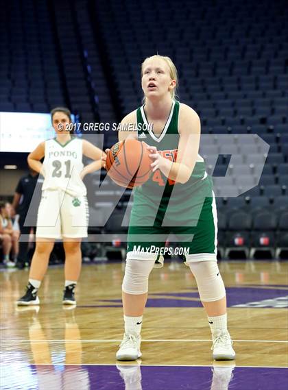Thumbnail 3 in Mesa Verde vs. Ponderosa photogallery.