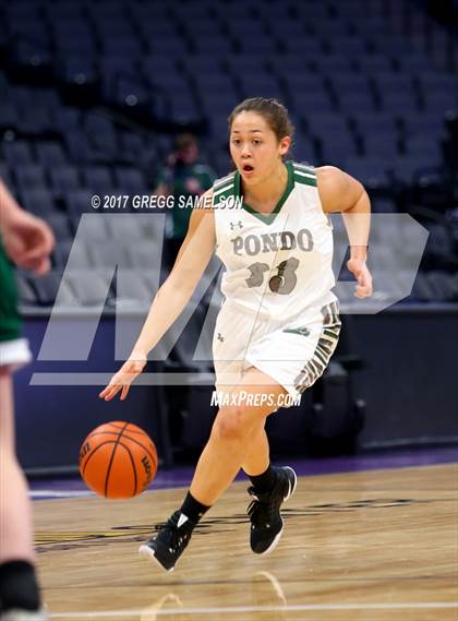 Thumbnail 2 in Mesa Verde vs. Ponderosa photogallery.
