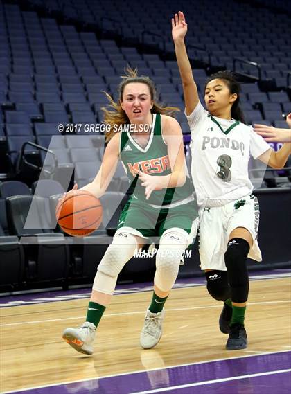 Thumbnail 3 in Mesa Verde vs. Ponderosa photogallery.