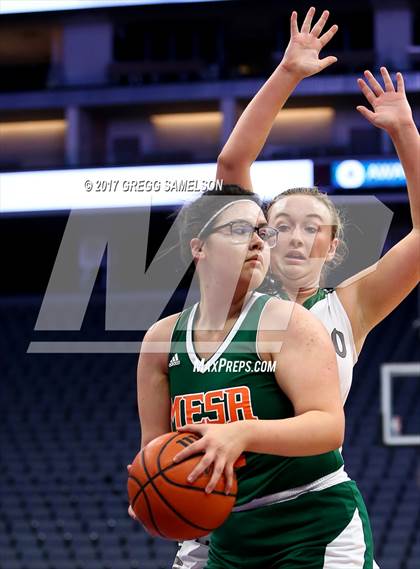 Thumbnail 2 in Mesa Verde vs. Ponderosa photogallery.