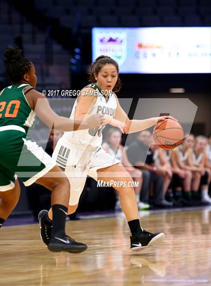 Thumbnail 3 in Mesa Verde vs. Ponderosa photogallery.