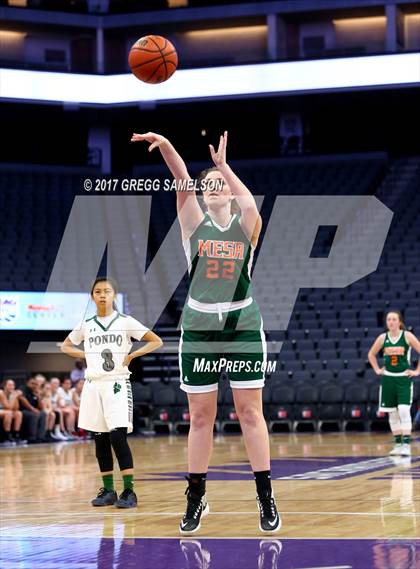 Thumbnail 3 in Mesa Verde vs. Ponderosa photogallery.