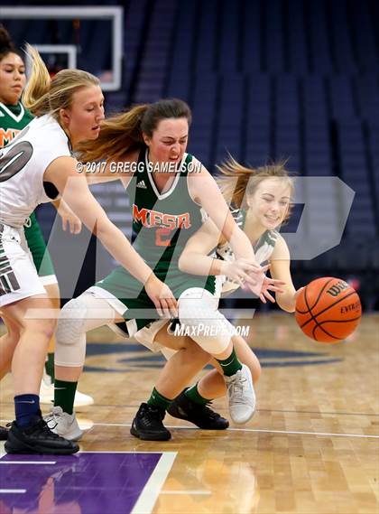 Thumbnail 1 in Mesa Verde vs. Ponderosa photogallery.