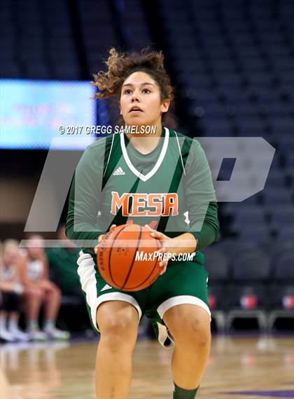 Thumbnail 3 in Mesa Verde vs. Ponderosa photogallery.