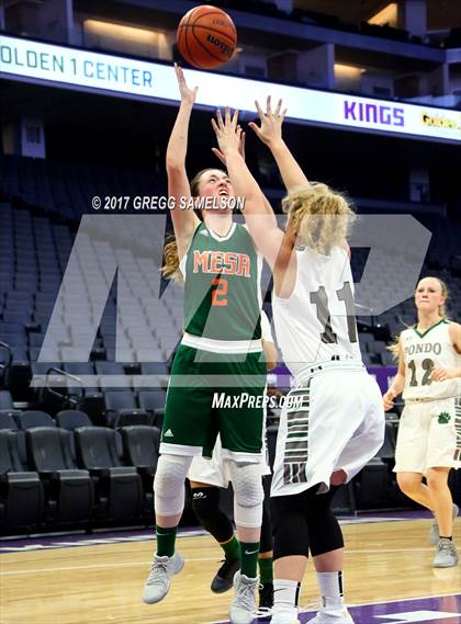 Thumbnail 1 in Mesa Verde vs. Ponderosa photogallery.
