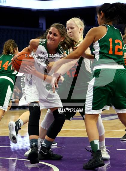 Thumbnail 2 in Mesa Verde vs. Ponderosa photogallery.