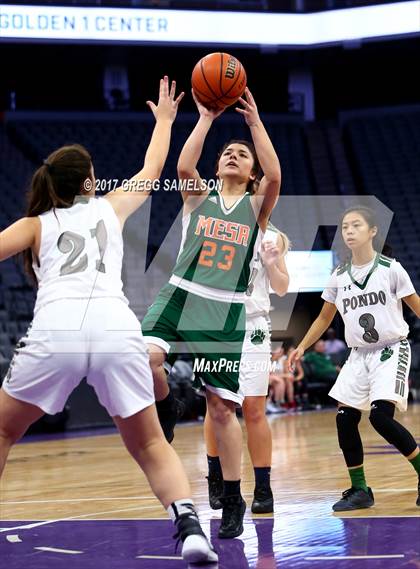Thumbnail 3 in Mesa Verde vs. Ponderosa photogallery.