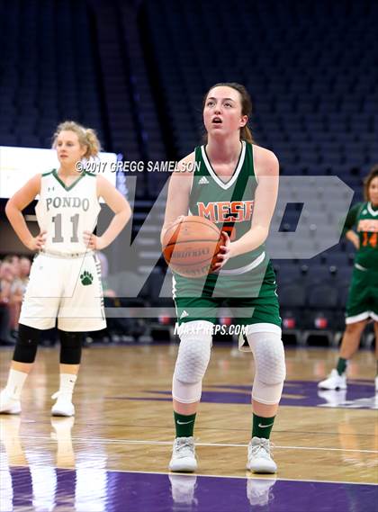 Thumbnail 3 in Mesa Verde vs. Ponderosa photogallery.