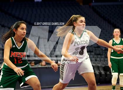 Thumbnail 3 in Mesa Verde vs. Ponderosa photogallery.