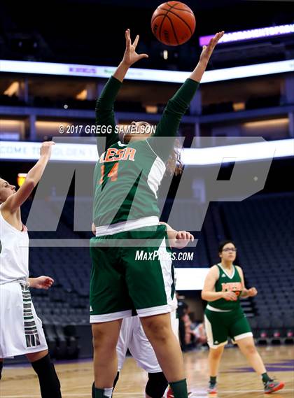 Thumbnail 3 in Mesa Verde vs. Ponderosa photogallery.