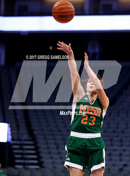 Thumbnail 3 in Mesa Verde vs. Ponderosa photogallery.