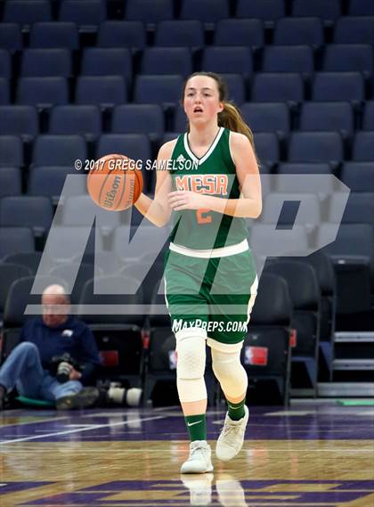 Thumbnail 3 in Mesa Verde vs. Ponderosa photogallery.