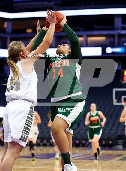 Thumbnail 1 in Mesa Verde vs. Ponderosa photogallery.