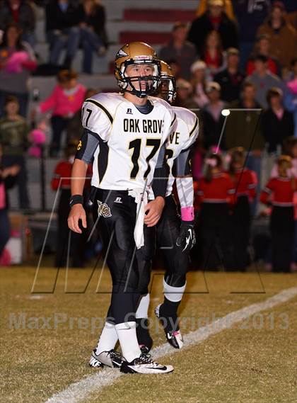 Thumbnail 1 in Oak Grove @ Brandon photogallery.