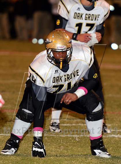 Thumbnail 2 in Oak Grove @ Brandon photogallery.