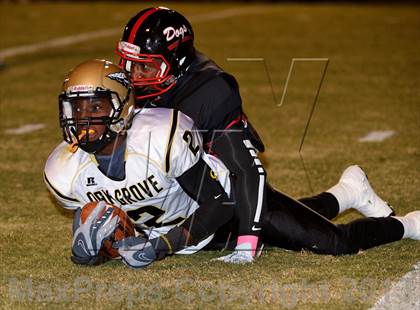 Thumbnail 2 in Oak Grove @ Brandon photogallery.