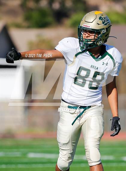 Thumbnail 3 in Brea Olinda @ Esperanza photogallery.