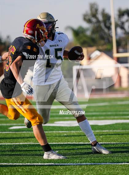 Thumbnail 3 in Brea Olinda @ Esperanza photogallery.