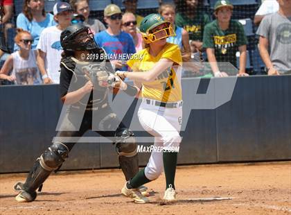 Thumbnail 3 in Eastern Alamance vs. Central Cabarrus (NCHSAA 3A Final - Game 3)  photogallery.