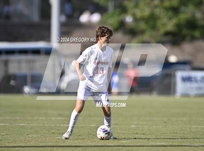 Thumbnail 3 in Charlotte Catholic @ Panther Creek photogallery.