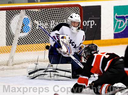 Thumbnail 1 in Brookfield/Bethel/Danbury vs. Watertown/Pomperaug (SWC Final) photogallery.