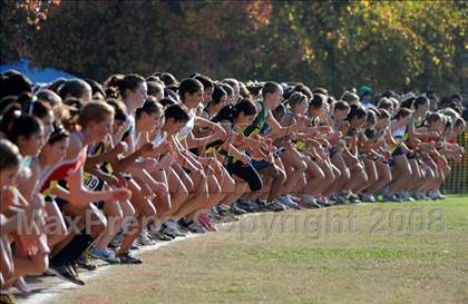 Thumbnail 1 in CIF State Championships photogallery.