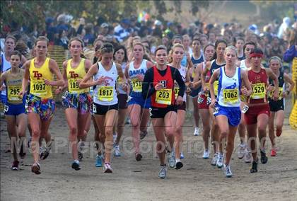 Thumbnail 1 in CIF State Championships photogallery.